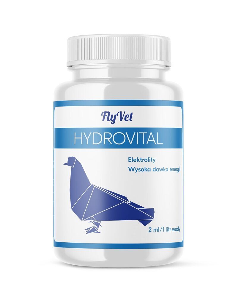 BAEC9666 FF8A 4181 A383 BC27885EC9DE e1697713924257